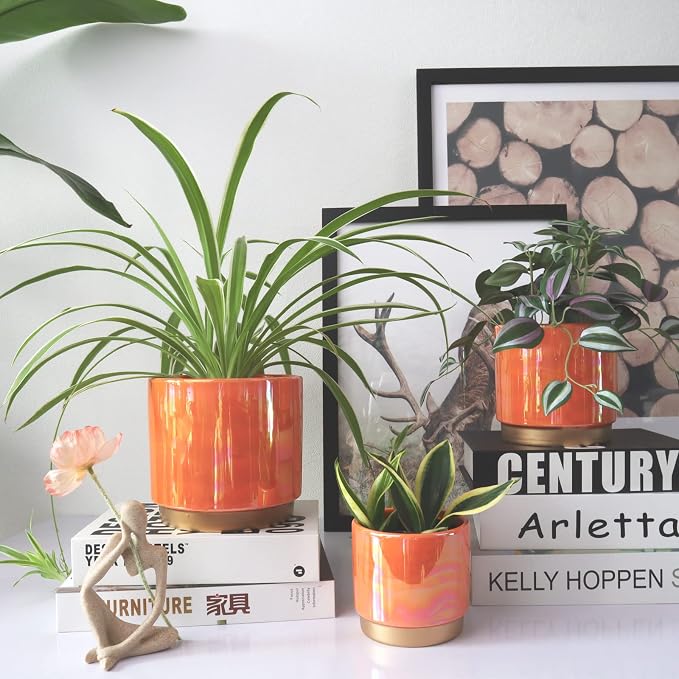 Gepege Ceramic Indoor Pots for Plants, Rainbow Pearl Glaze Planter - Image 7