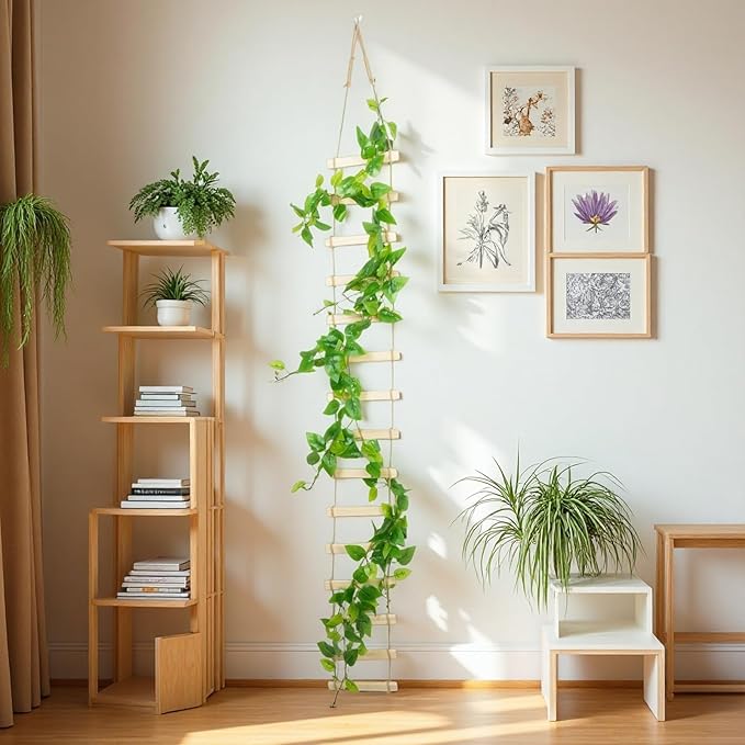 Wooden Ladder Plant Trellis for Climbing Plants – 6ft Extra Tall Indoor & - Image 5