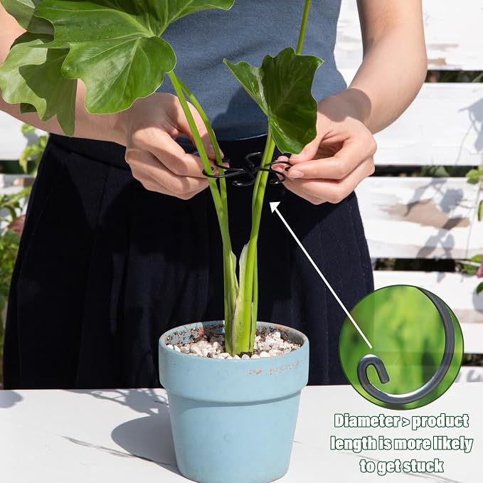 Monstera Plant Stem Support Set - Image 4