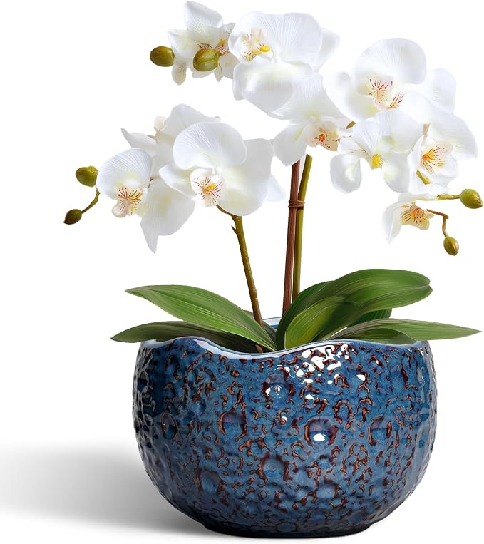 6 Inch Plant Pot by Thirtypot