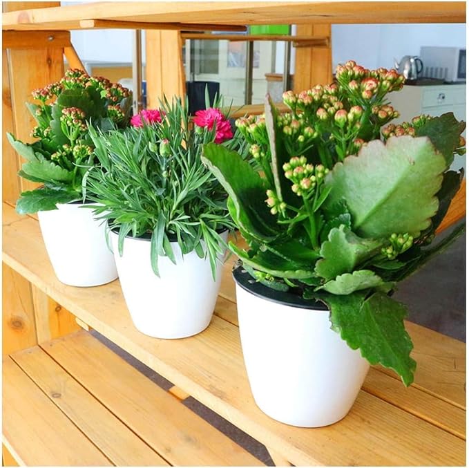 2 Pcs 3.5“ Self Watering Planter White Flower Pot, Flowers Plants, Small Mini - Image 7