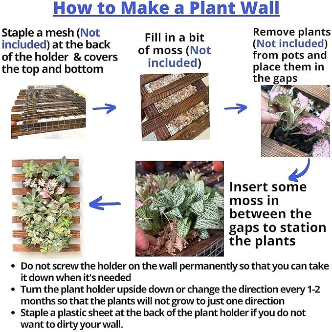 ShopLaLa Wall Planter - Image 7
