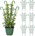 Plant Support Stakes, Stackable Plant Trellis by Unknown