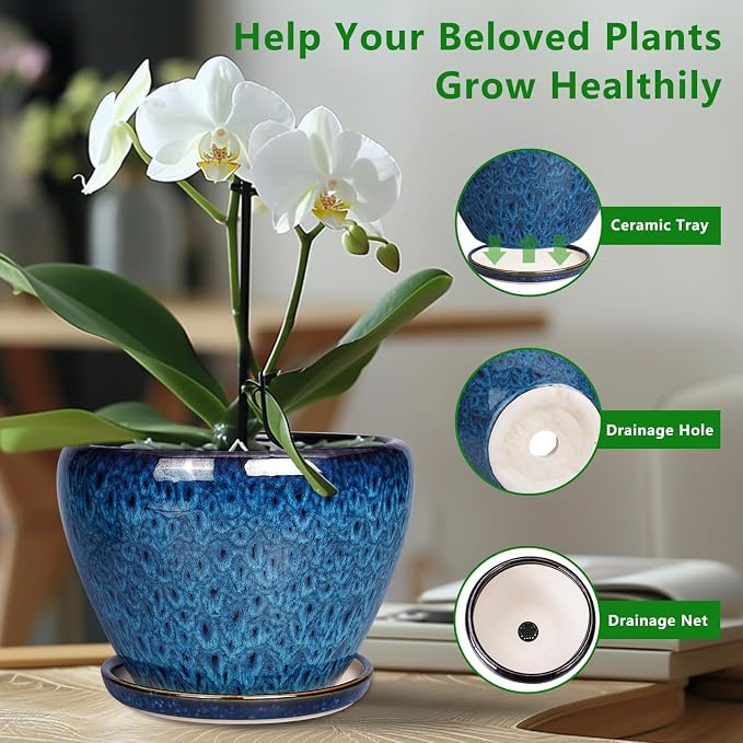 10 Inch Ceramic Planter Pot, Ceramic Plant Pot - Image 5