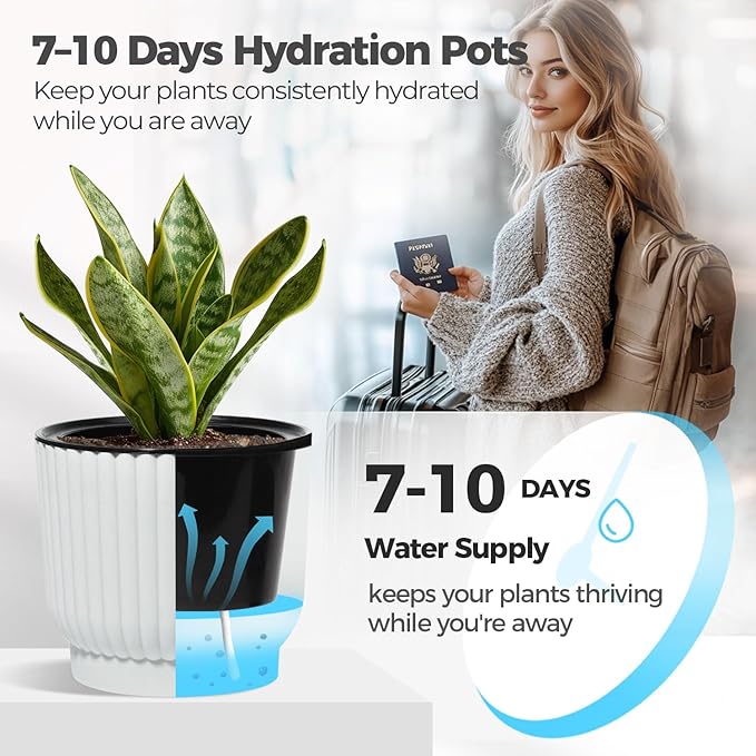 T4U 4 Inch Plant Pots Self Watering, 6 Pack African Violet Pots, Small Plant - Image 4