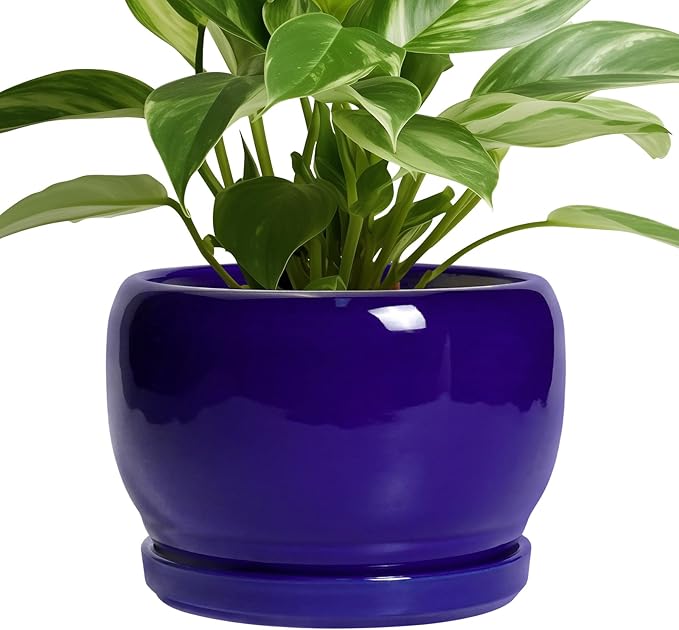 SQOWL 8 Inch Plant Pot by SQOWL