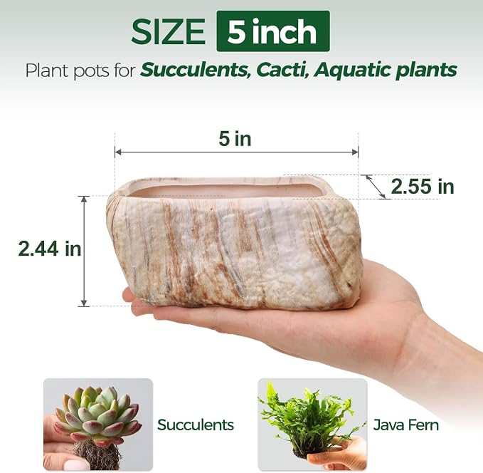 T4U 5.5 Inch Ceramic Succulent Pot Planter - Image 2