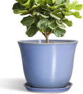 12 Inch Pots for Plants by SUNPOTFOR