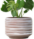 10 Inch Ceramic Plant Pot with Drainage – Large Flower Pot by Bestseler
