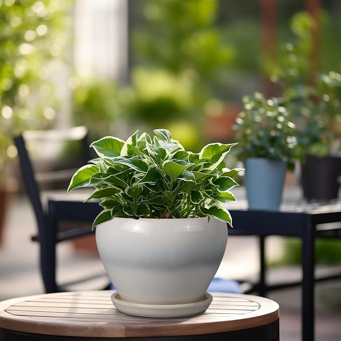 Planter Pot 6 Inch - Image 4