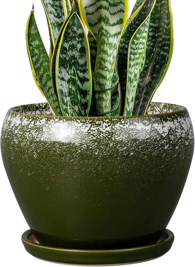 8 Inch Plant Pot by Ceramicfor