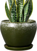 8 Inch Plant Pot by Ceramicfor