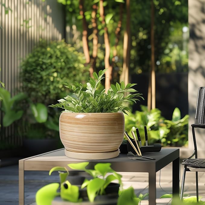 SQOWL Ceramic Plant Pot - Image 5