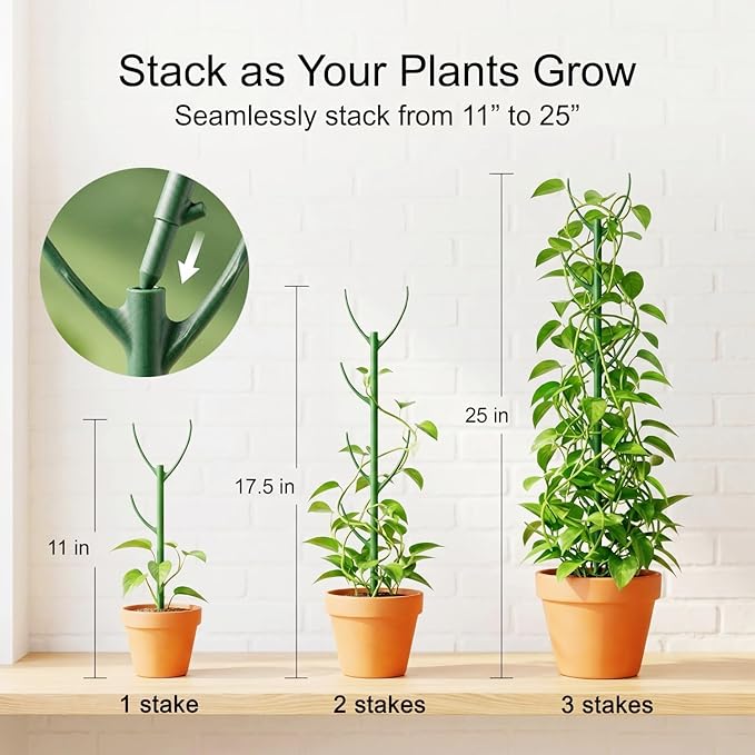 10-Pack Monstera Plant Support Stakes - Image 3