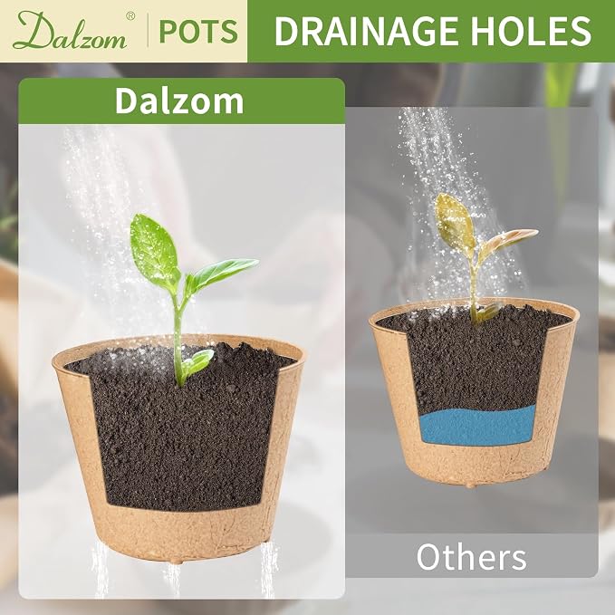Dalzom® 60Pcs 4” Peat Pots - Image 4
