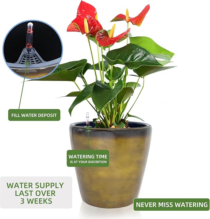 Dexceder 15x14 Self Watering Planter - Image 5