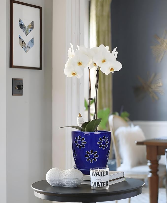 Oairse 6 inch Orchid Pots with Holes, Royal Blue Ceramic Orchid Pot - Image 6