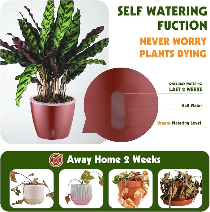 Self Watering Pots for Indoor Plants, Small African Violet Pots - Image 3