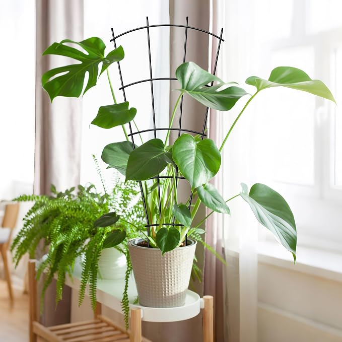 4 Pack 32'' Indoor Plant Trellis - Image 8
