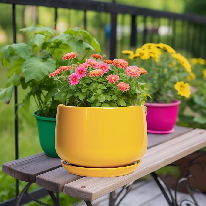 G EPGardening Ceramic Flower Pot - Image 2
