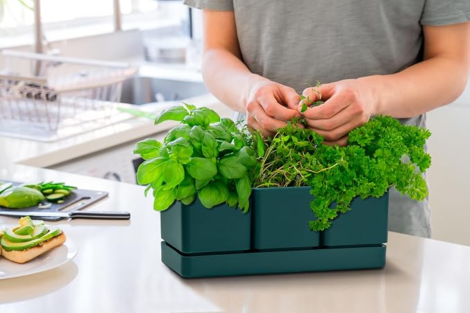 D'vine Dev Herb Garden Planter Set, Plastic Plant Pots - Image 3