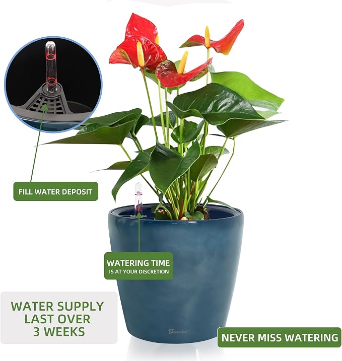 Dexceder 11x10 Inches Self Watering Planter Indoor Outdoor, Inner Pot Design - Image 5