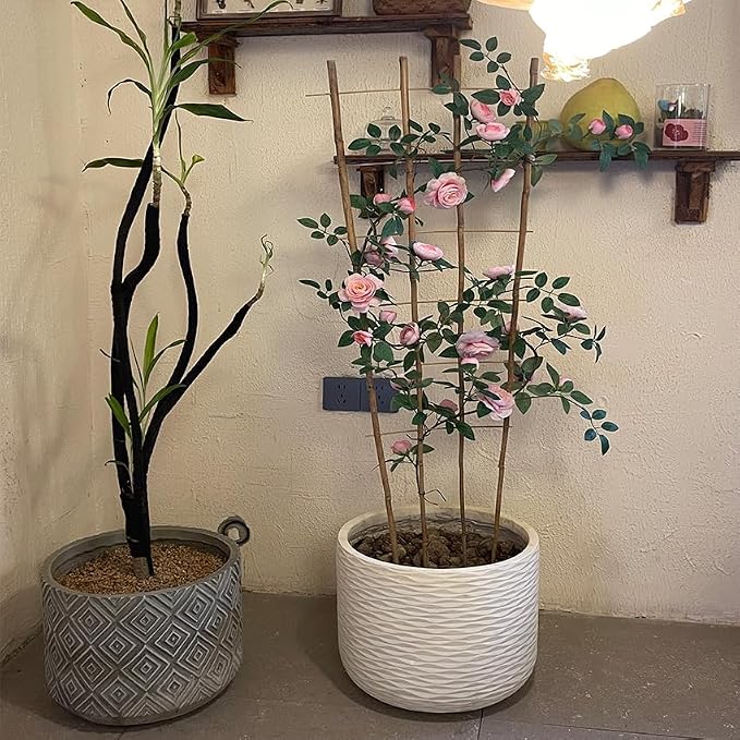 Natural Bamboo Trellis, Fan-Shaped Plant Support Trellis - Image 5