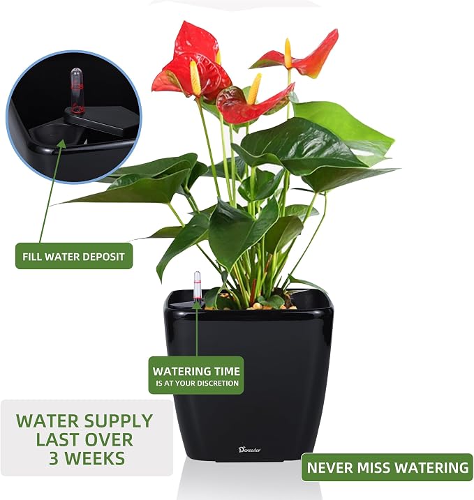 Dexceder 9x8 Self Watering Planter Indoor Outdoor, Inner Mat Design, Thickened - Image 5