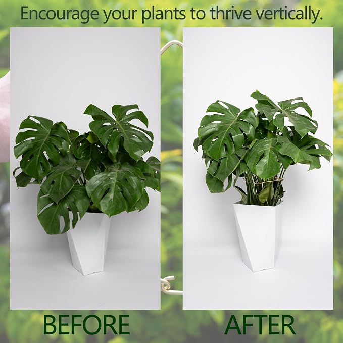 5PCS Monstera Plant Stem Support - Image 3