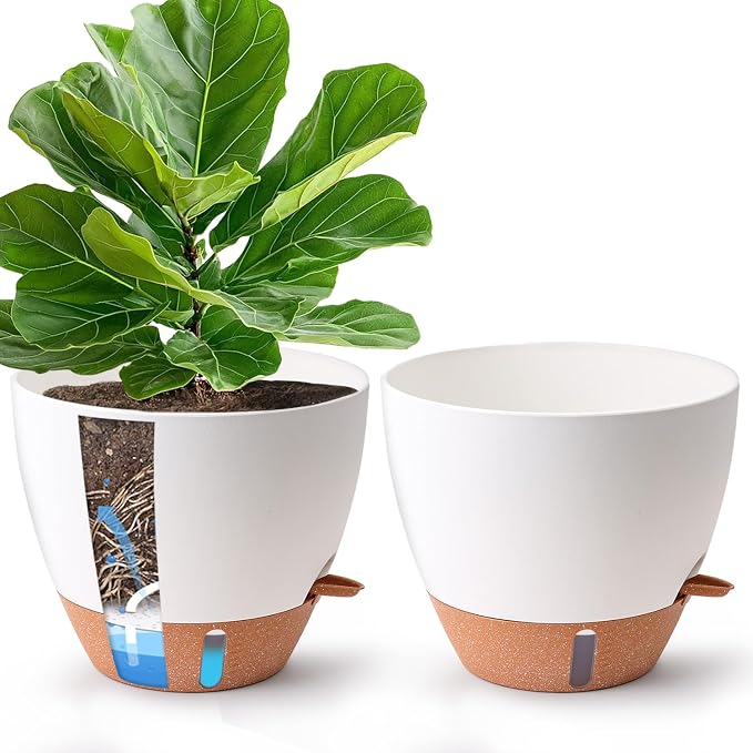2 Pack 10 Inch Self Watering Pots by T4U