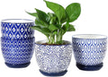 Selamica Ceramic Plant Pots, 5.6 Inch Flower Pots by Selamica