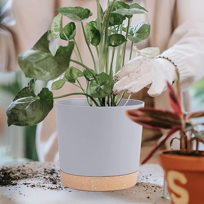 QCQHDU 10 inch Plant Pot, 2 Pack Planters - Image 6