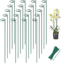 Joyhalo 20 Pack Plant Support Stakes 24 Inch, Plant Stakes, Flower Stakes by Joyhalo
