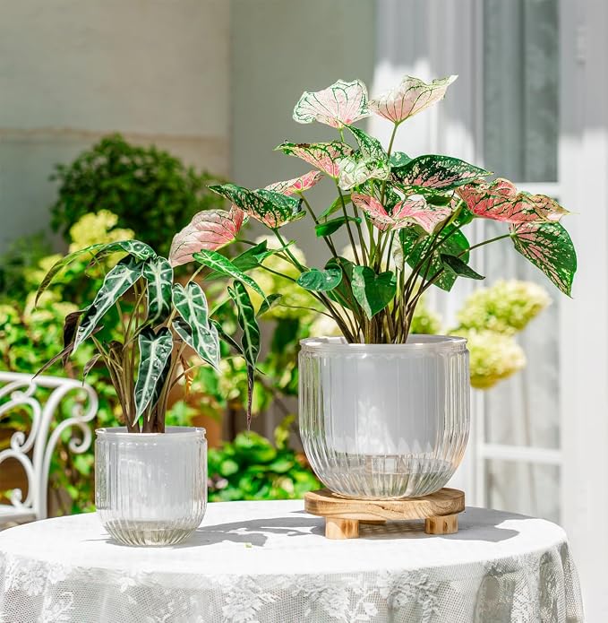 Melphoe Self Watering Pots for Indoor Plants Planter, 8.3/5.3 Inch 2 Pack - Image 3