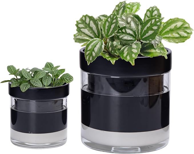 Phoenix Vine 6 Inch 4 Inch Self Watering Terracotta Planter by Phoenix+Vine