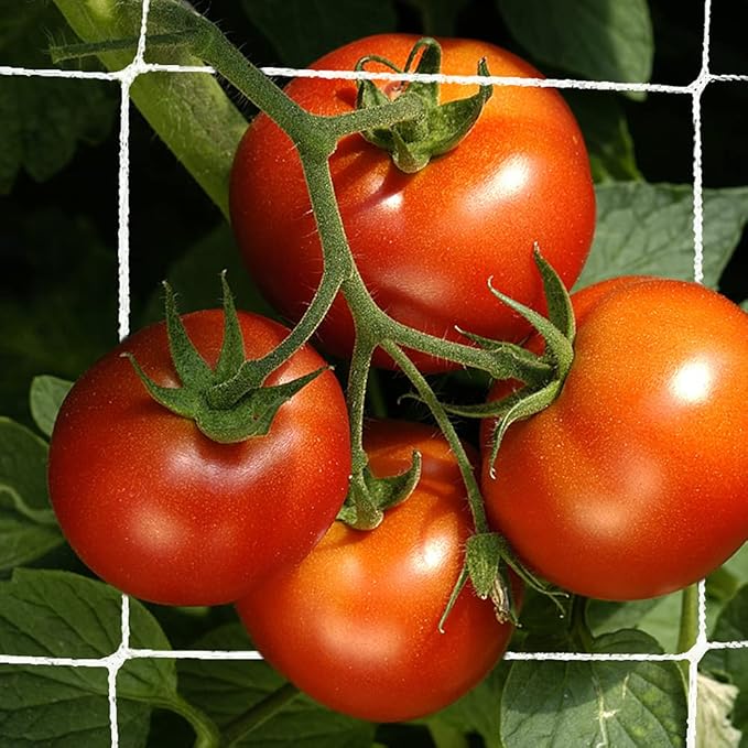 Trellis Netting, CANAGROW Heavy-Duty Garden Plant Trellis Netting - Image 4
