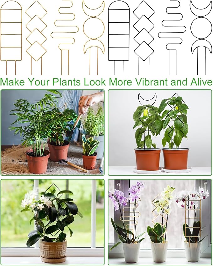 4 Pack Indoor Climbing Plant Trellis, Small Trellis - Image 6