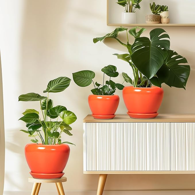 Indoor Plant Pot 8 Inch - Image 8
