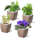 4 Pack Self Watering Pots 4-inch Decorative Flower Planters by Oliz
