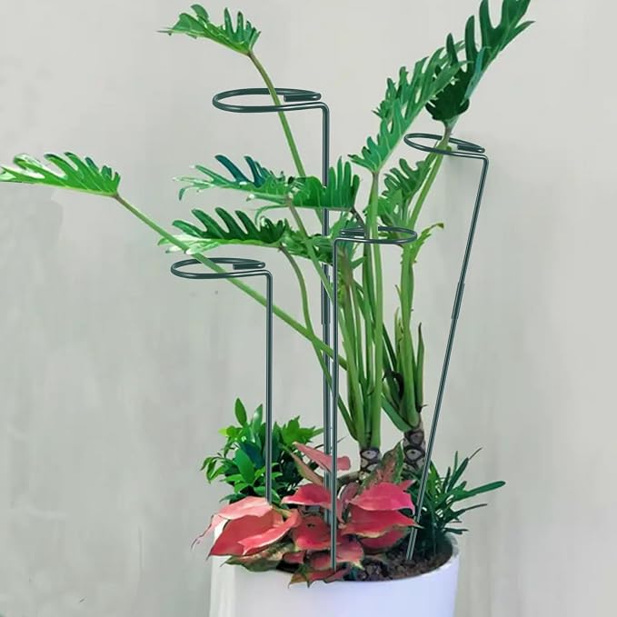 Plant Stake Support - Image 6