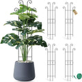 Coomin 32.6in Monstera Plant Support Stakes by COOMIN
