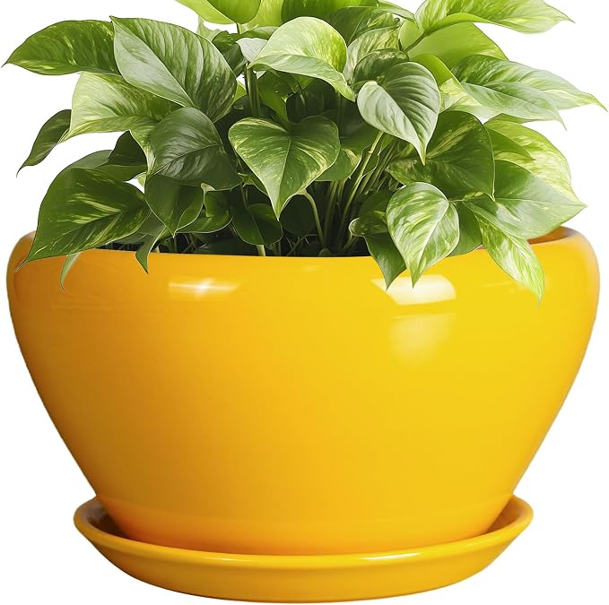 Ceramic Planter 9 Inch by Ceramicfor