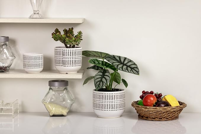 Docrin 3-Pack Ceramic Planters Set - Image 5