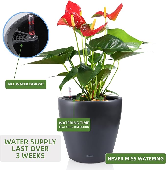 Dexceder 15x14 Self Watering Planter - Image 5
