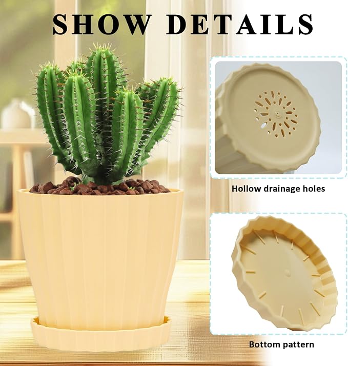 6 inch Flower Pots for Plants - Image 4