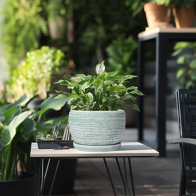 SQOWL Ceramic Planters for Indoor Plants - Image 5