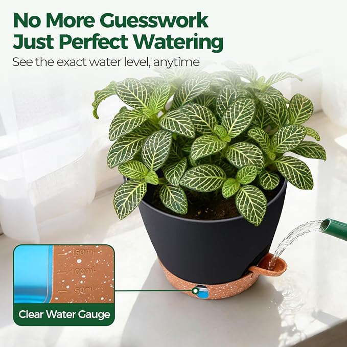 T4U 6 Inch Self Watering Pots for Indoor Plants - Image 7