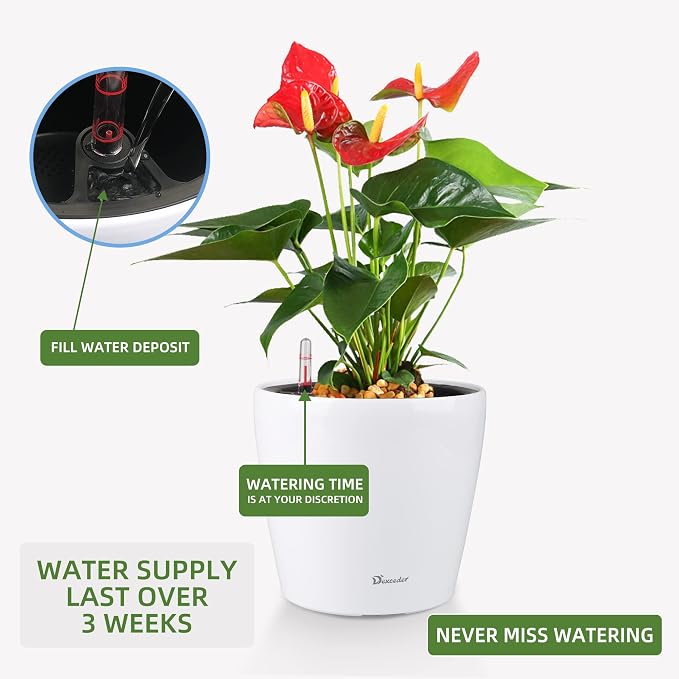 Dexceder 9x8 Inches High Gloss Self Watering Planter Indoor Outdoor, Inner Pot - Image 5