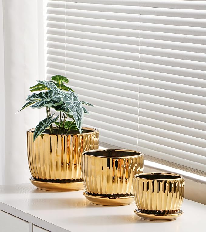 Ton Sin Gold Plant Pots, 4.1+5.1+6.5 Inch Ceramic Succulent Planters Set of 3 - Image 5