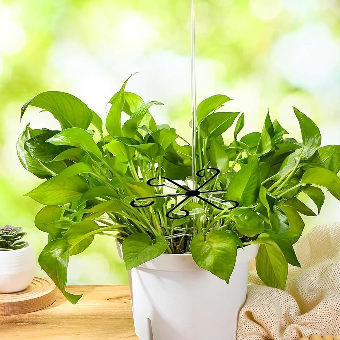 4Pcs Plastic Plant Climbers Stem Holders, 2 Sizes Reusable Flower Plant Stakes - Image 7